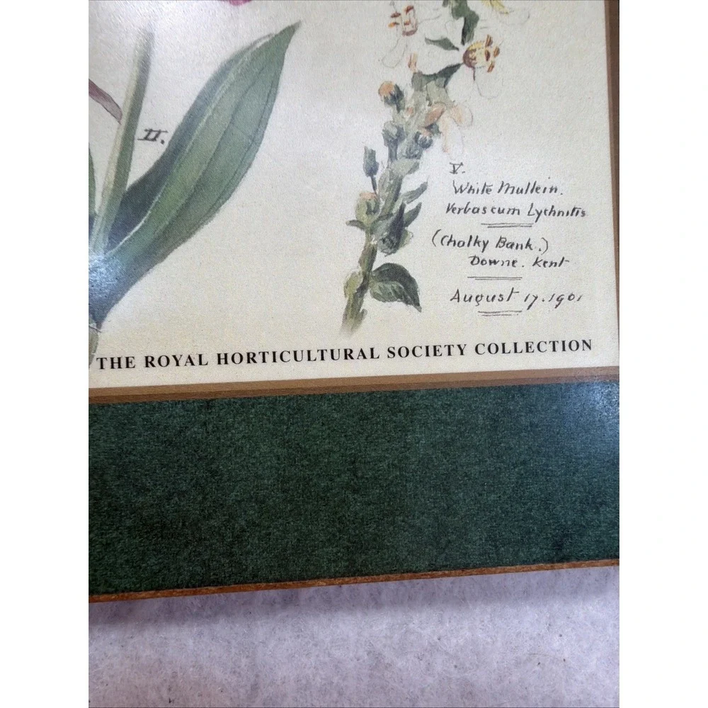 Set Of 4 Pimpernel Royal Horticulture Society Floral Cork Back Placemats England